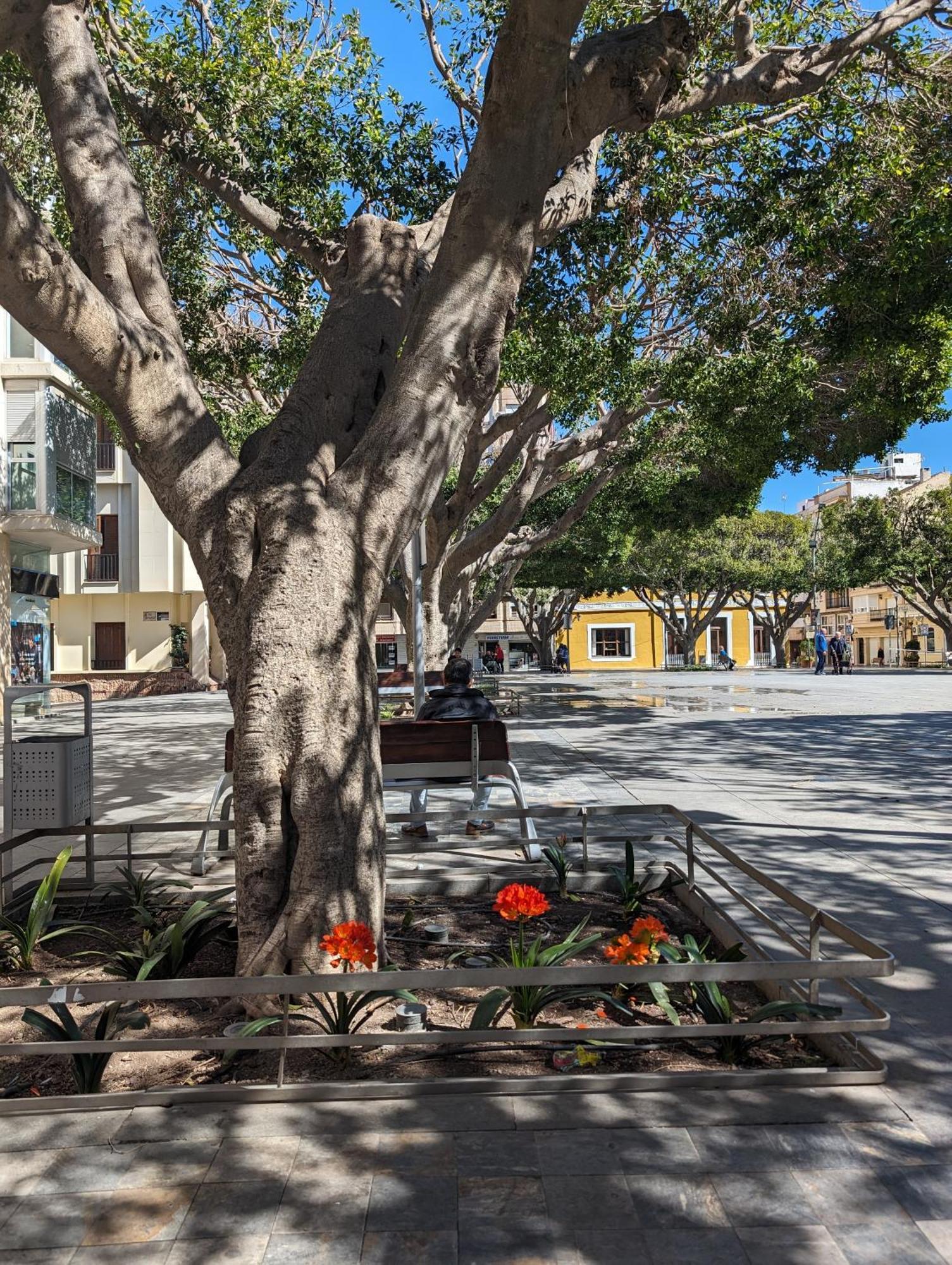 2 Bedroom Algorfa Townhouse With Pool Castillo de Montemar المظهر الخارجي الصورة